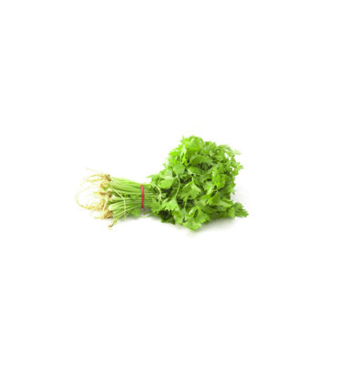 Chinese Celery