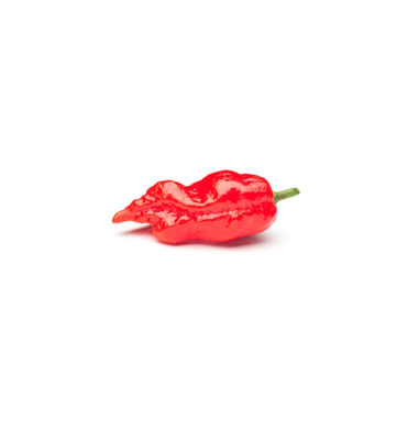 Ghost pepper