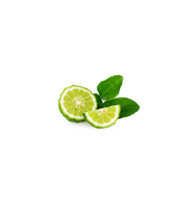 Kaffir Lime