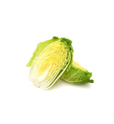 Napa cabbage