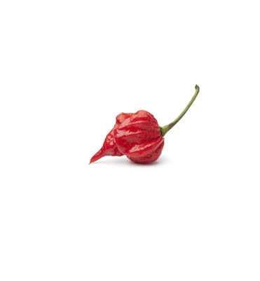 Scorpion pepper