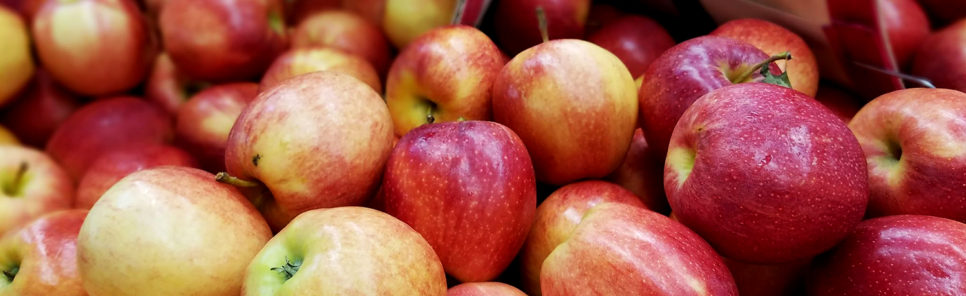 Blog, How Many Types Of Apples Are There